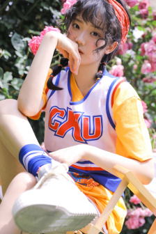 missripley下载